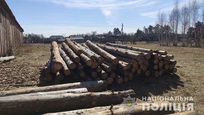 На Житомирщині на фермі виявили нелегальну лісопильню