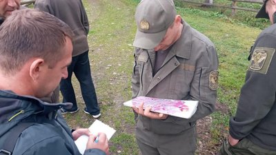 Прикарпатські екологи стверджують, що "бізони-нелегали" неголодні Прикарпатські екологи стверджують, що "бізони-нелегали" неголодні