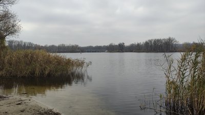 На Полтавщині з 1 листопада діє заборона на вилов риби у зимувальних ямах
