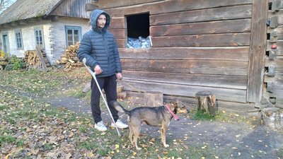 Дмитро Цурка, переселенці, ВПО