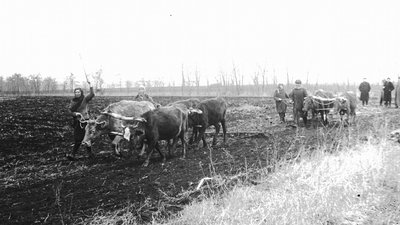 "Не було що їсти, голодні ми були!" — очевидиця голоду на Прикарпатті у 1946-1947 роках "Не було що їсти, голодні ми були!" — очевидиця голоду на Прикарпатті у 1946-1947 роках