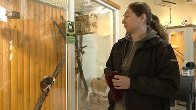 ЯК ОБІГРІВАЄТЬСЯ ЗООПАРК БЕЗ ЕЛЕКТРИКИ ЯК ОБІГРІВАЄТЬСЯ ЗООПАРК БЕЗ ЕЛЕКТРИКИ