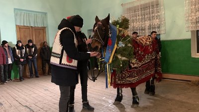 Коня годують Коня годують