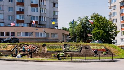 Патріотичні квітники у Тернополі Патріотичні квітники у Тернополі