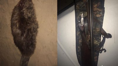 Неподалік Черкас поліція затримала мисливця без документів. Відкрили карну справу Неподалік Черкас поліція затримала мисливця без документів. Відкрили карну справу
