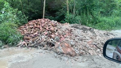 На Львівщині невідомі викинули рештки тварин
