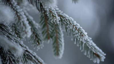 На Полтавщині на вихідних прогнозують сніг і до 25 градусів морозу