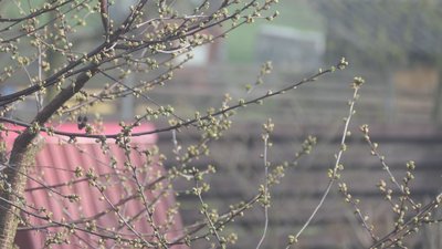Прогноз погоди на 14-17 квітня на Рівненщині