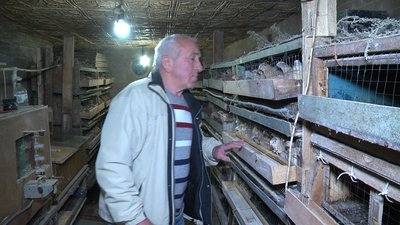 Вік — не перешкода: пенсіонер з Рубіжного грає в театрі та розводить перепілок Вік — не перешкода: пенсіонер з Рубіжного грає в театрі та розводить перепілок
