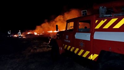 Пожежа на Волині, горіла суха трава, рятувальники загасили вогонь