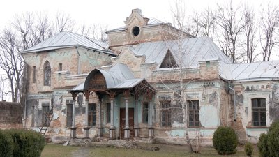 На Вінниччині висадили понад сто кущів лаванди