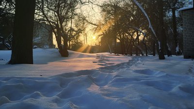 сніг, зима, мороз, сонця, погода, погода харків