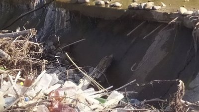 На Прикарпатті у водозаборі брудно та відсутній рибозахист, - начальник рибгосподарства На Прикарпатті у водозаборі брудно та відсутній рибозахист, - начальник рибгосподарства