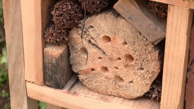 У Львові встановили будиночок для комах У Львові встановили будиночок для комах