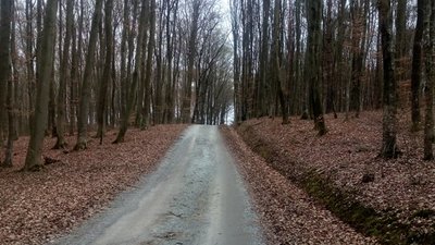Застрягли у лабіринті. Як українці повераються додому, коли Європа на карантині Застрягли у лабіринті. Як українці повераються додому, коли Європа на карантині