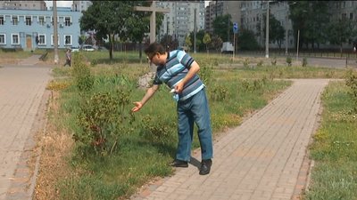 "Грошей на полив не вистачає". У Сумському сквері ім.Зеленко сохнуть молоді дерева та кущі