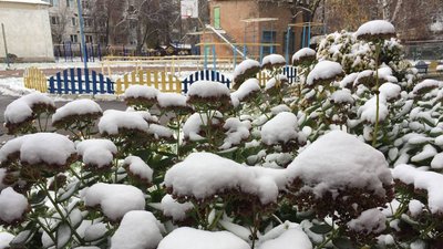 Сніг, льодяний дощ та ожеледиця: на Черкащині прогнозують негоду