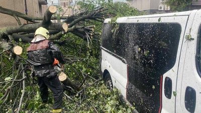Негода на Волині повалила дерева і зірвала дахи з хат та готелю Негода на Волині повалила дерева і зірвала дахи з хат та готелю