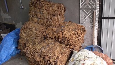 Правоохоронці вилучили тютюн Правоохоронці вилучили тютюн