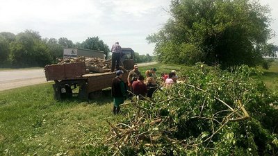 Заготовляють дрова на зиму: у школі на Вінниччині розчистили територію від тополь