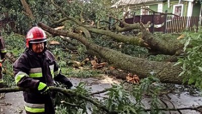 Повалені дерева, знівечені автівки, зірвані дахи, підтоплені дороги: наслідки буревію на Хмельниччині Повалені дерева, знівечені автівки, зірвані дахи, підтоплені дороги: наслідки буревію на Хмельниччині