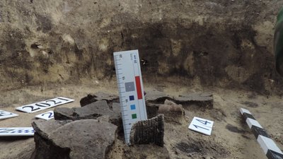 Знахідки року Знахідки року