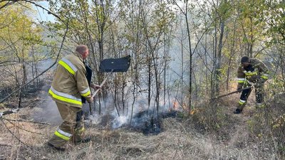На Миколаївщині горять п'ять гектарів хвойного настилу На Миколаївщині горять п'ять гектарів хвойного настилу