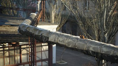 Руда білка, яка сидить на трубі теплотраси