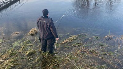 В річці Прип'ять на Волині шукають зниклу жінку