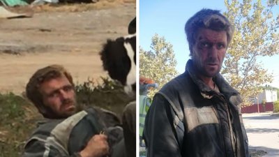 Смертельна аварія на Одещині: поліція оголосила в розшук водія, який втік з місця ДТП