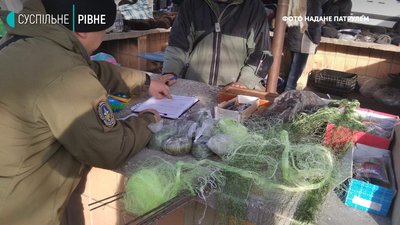 Є улов, або як рибний патруль на Рівненщині спрацював "під прикриттям" Є улов, або як рибний патруль на Рівненщині спрацював "під прикриттям"