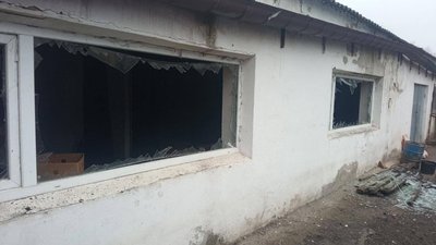 Що відбувається з притулками для тварин на Київщині