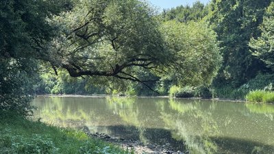 Виявили кишкову паличку у пробі: яка ситуація з купанням у річці Уж на Закарпатті