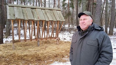 На Конотопщині Сумської області збільшується популяція зубрів На Конотопщині Сумської області збільшується популяція зубрів