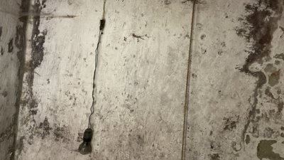 катівня піски радківські катівня піски радківські