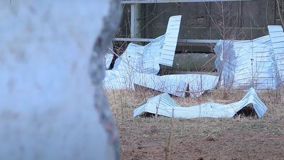 У чернігівському центрі стерилізації за час війни загинули 27 тварин У чернігівському центрі стерилізації за час війни загинули 27 тварин