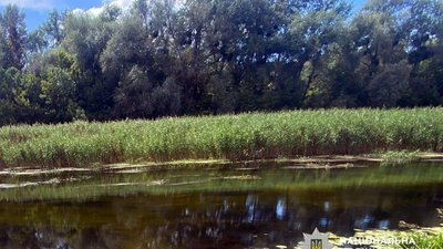 У Полтавській області у річці виявили тіло чоловіка