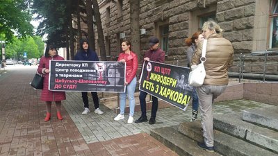 У Миколаєві відбулась акція на підтримку харківських зоозахисників