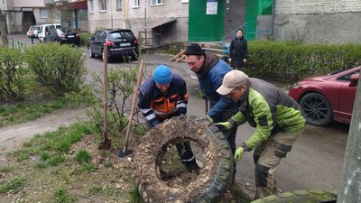 Приберуть усе: з луцьких дворів демонтовують автомобільні шини