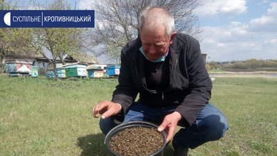 У селі Вербівка Кіровоградської області загинули більше двох мільйонів бджіл У селі Вербівка Кіровоградської області загинули більше двох мільйонів бджіл