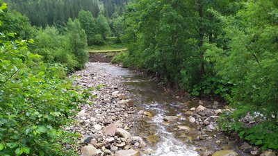 Прикарпатські науковці розробили новий метод оцінки якості води в річках