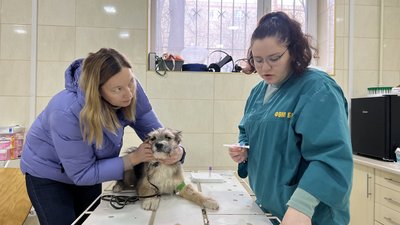 Тедді й Ольга на обстеженні, 5 січня 2024 року.