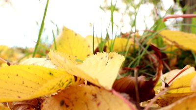 Погода на Рівненщині