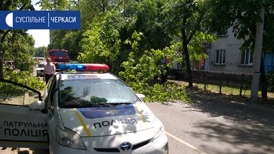 У середмісті Черкас дерево впало на три автівки У середмісті Черкас дерево впало на три автівки