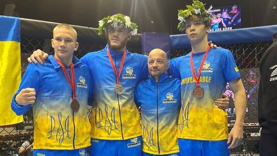 ММА змішані єдиноборства