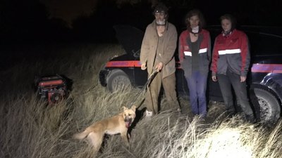 В Запоріжжі врятували собаку, який впав у шахту п'ять місяців тому В Запоріжжі врятували собаку, який впав у шахту п'ять місяців тому