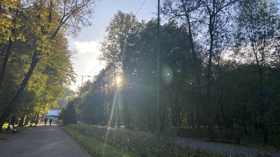 парк, алея