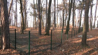 Реконструкцію Личаківського парку у Львові обіцяють завершити наступного року Реконструкцію Личаківського парку у Львові обіцяють завершити наступного року