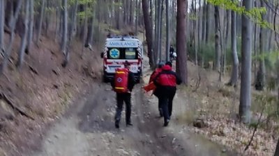 Прикарпатські рятувальники допомогли велосипедисту, який травмувався у Карпатах