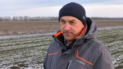 Мороз без снігу: як холод впливає на посіви озимих культур — пояснює агроном Мороз без снігу: як холод впливає на посіви озимих культур — пояснює агроном